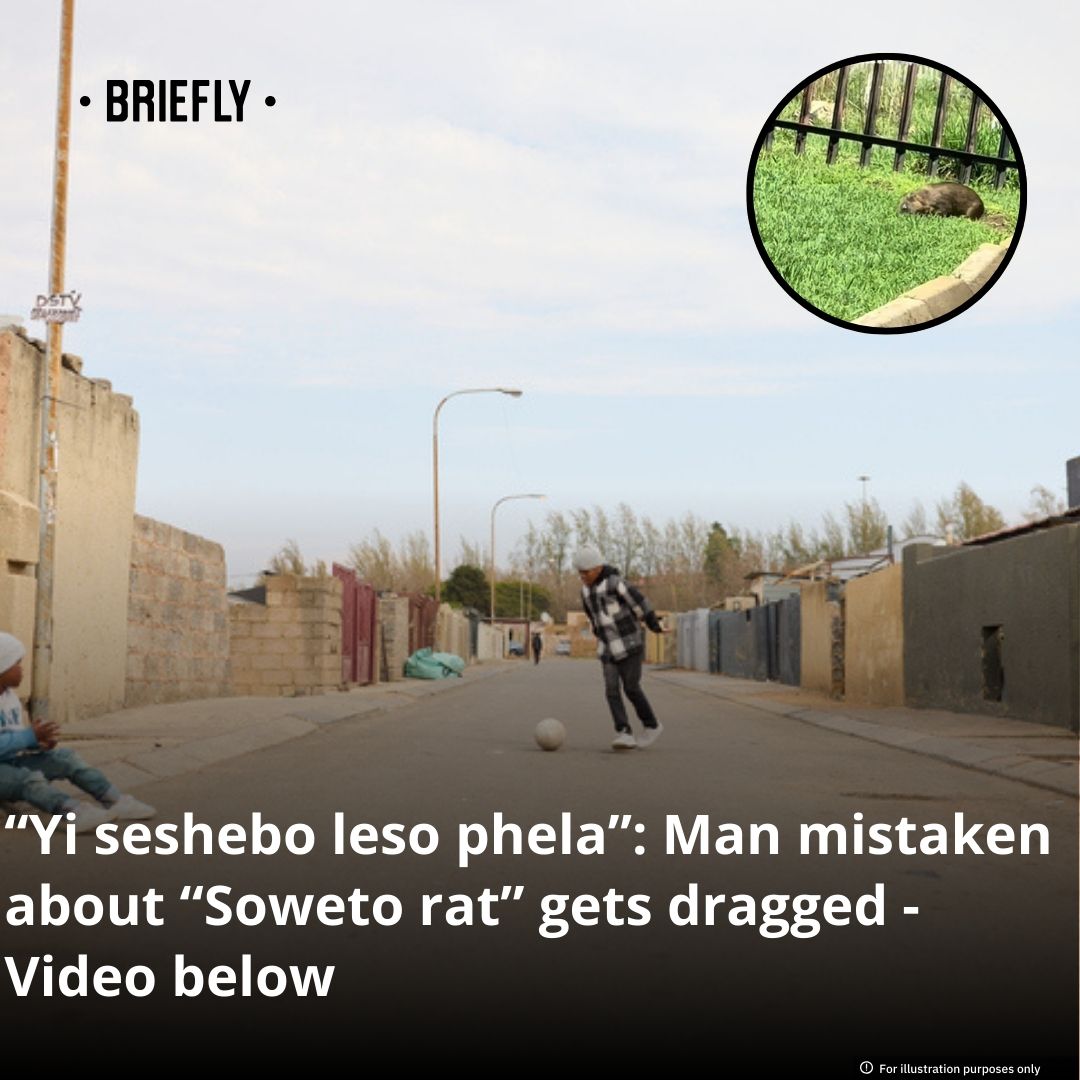A guy thought he was... - Briefly - South African News | Facebook