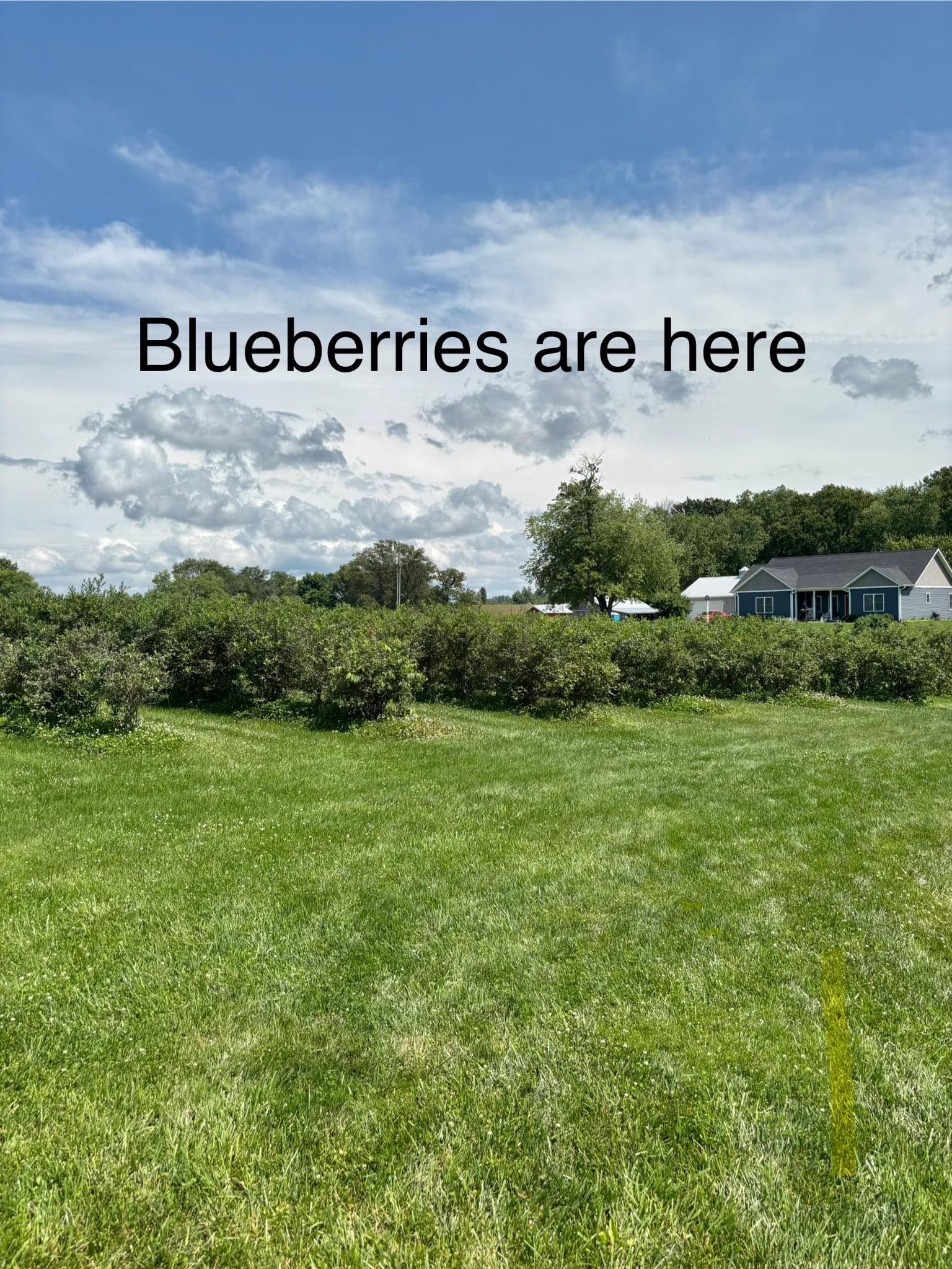 Clark's Berry Farm | North Vernon IN