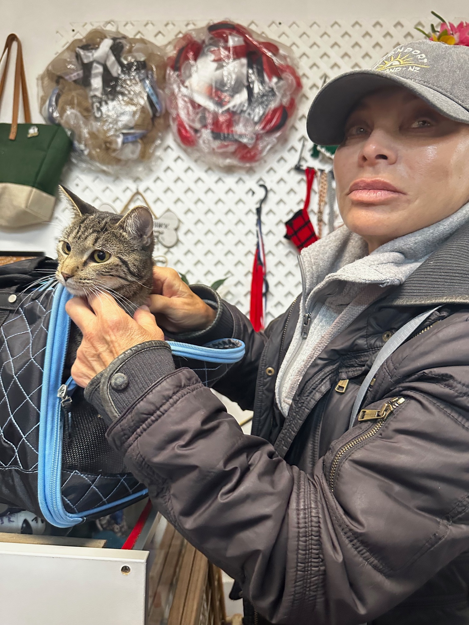 Kind Keeper No-Kill... - Kind Keeper No-Kill Animal Rescue