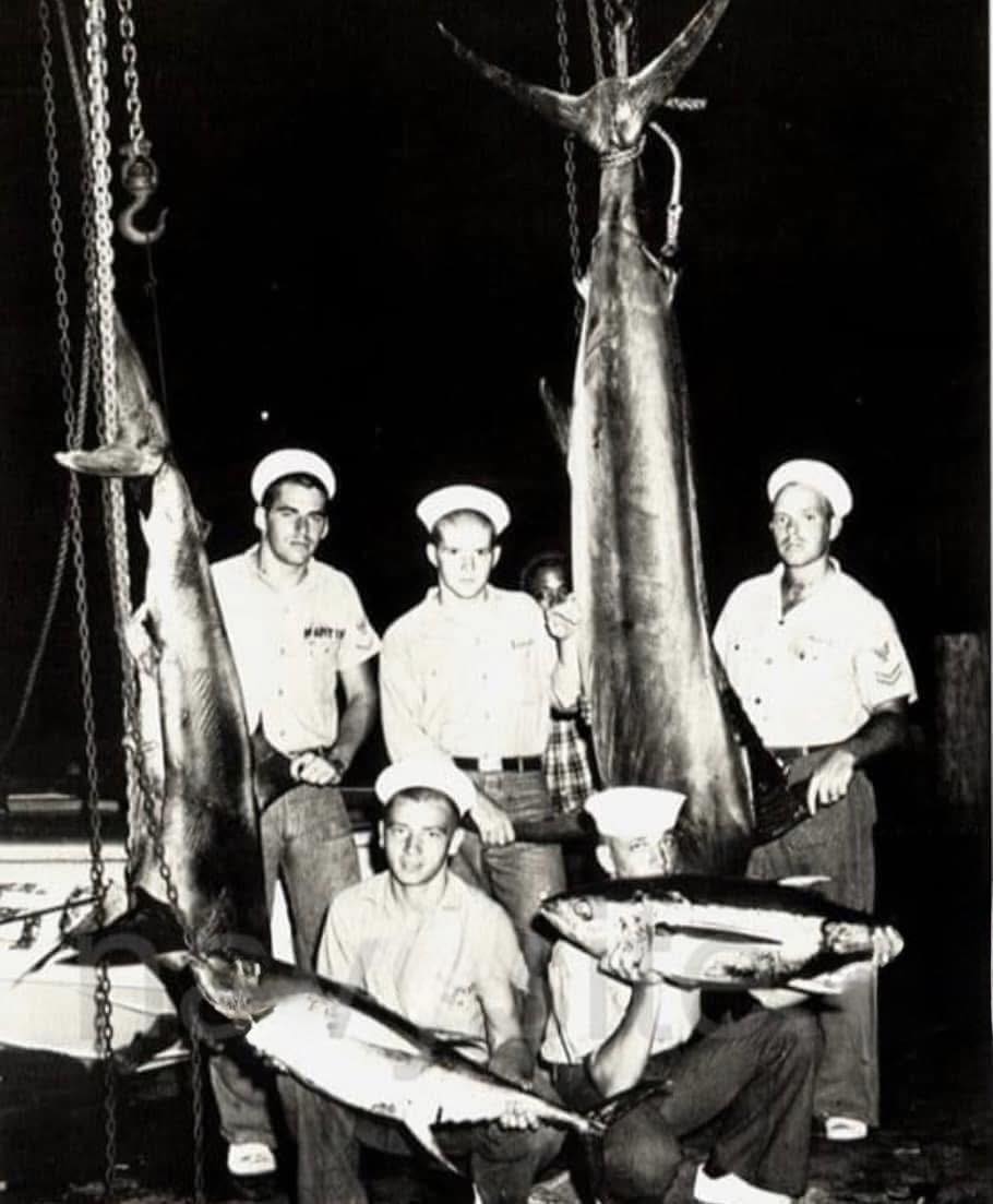TAGA - USS Franklin D. Roosevelt sailors with their trophy catches ...