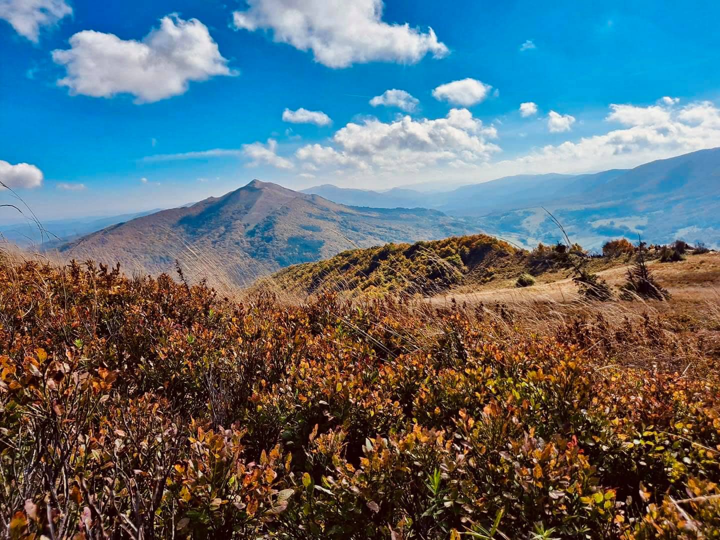 Moje Bieszczady