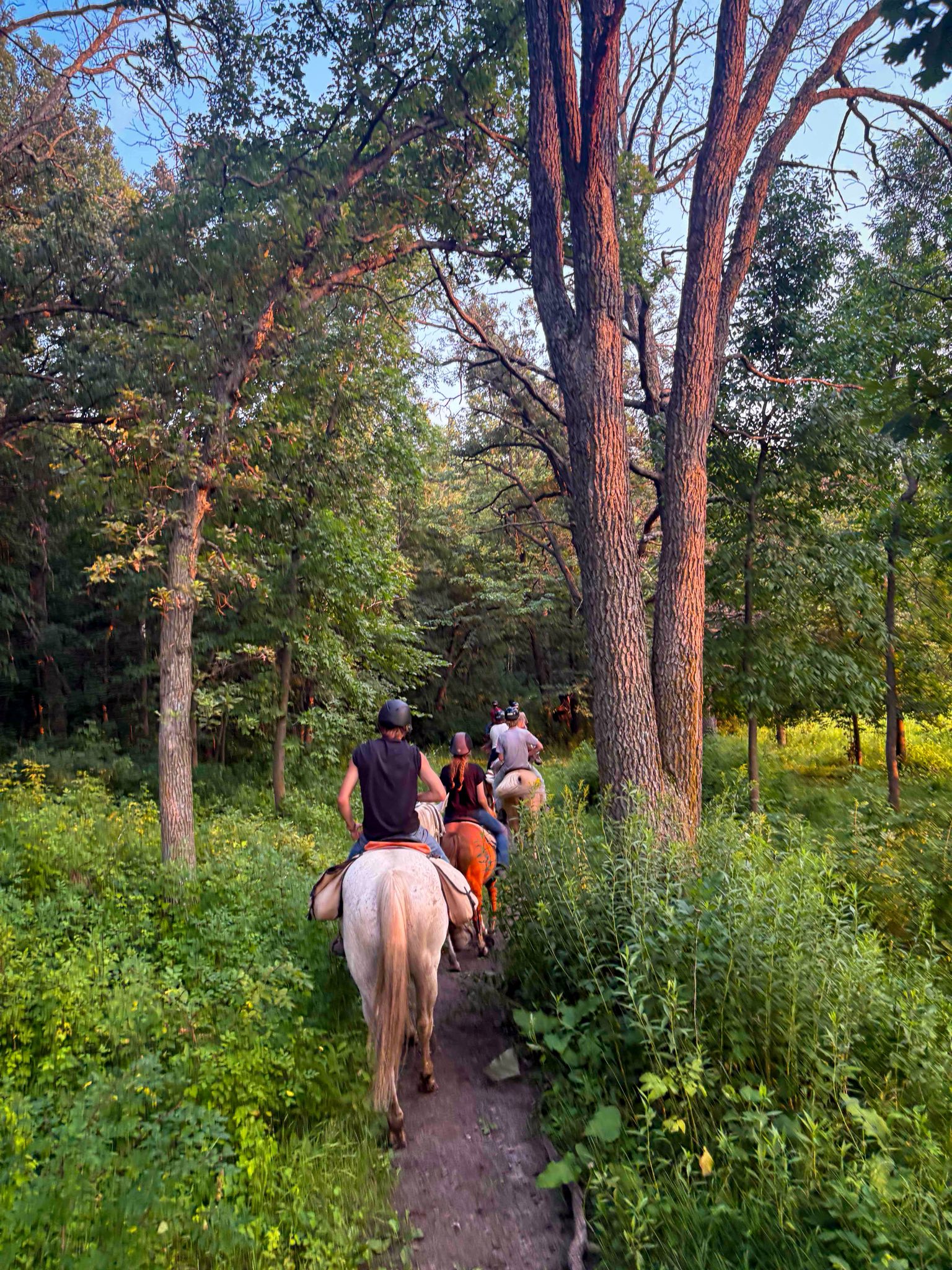 Circle R Ranch | Long Prairie MN