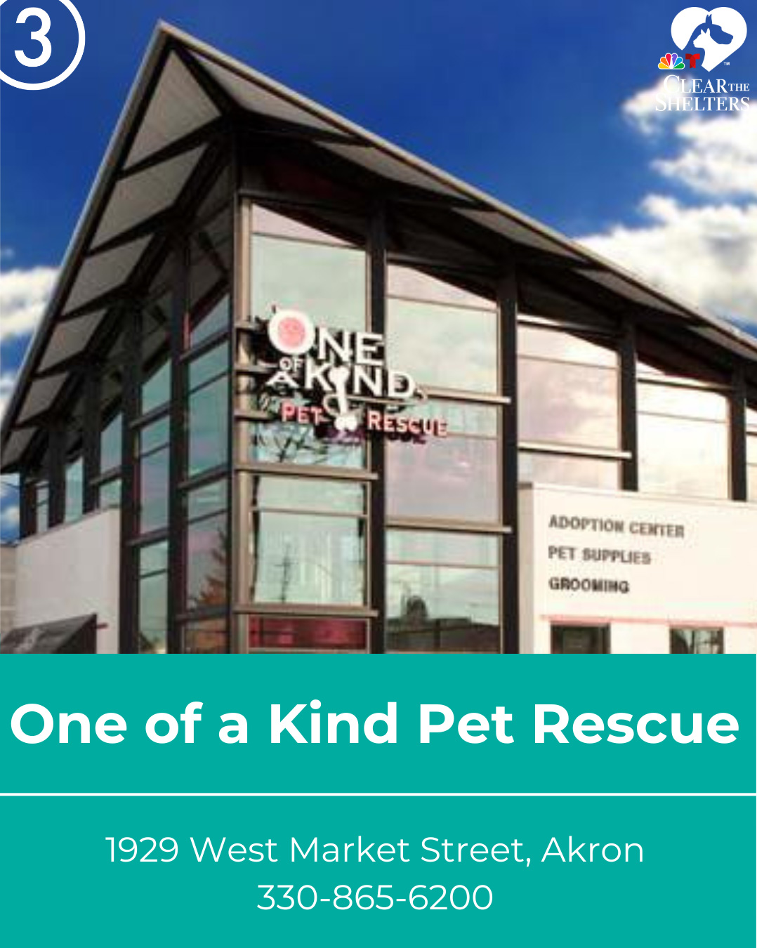 WKYC - Clear the Shelters 2025: Today we're shouting out One of a Kind ...