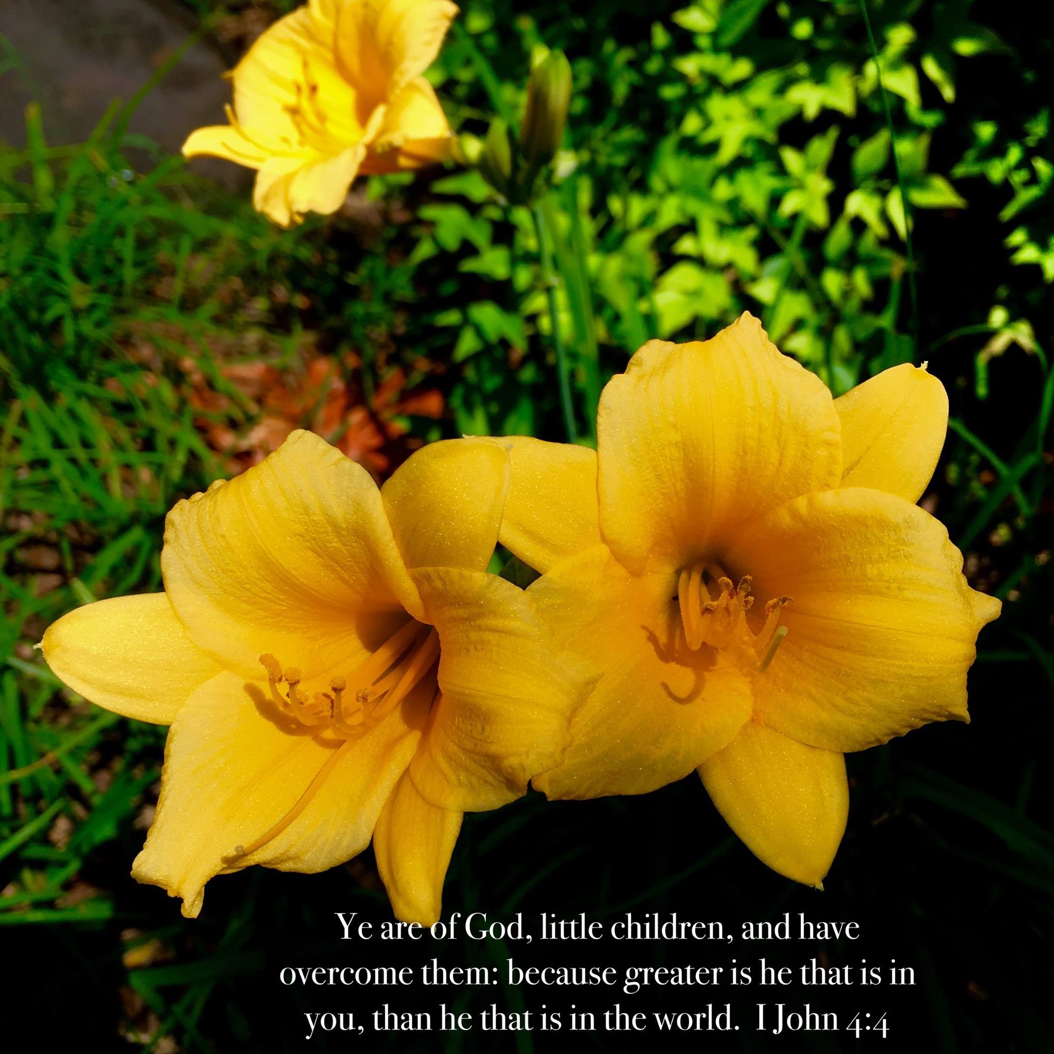 KJV Scripture Pics added a new photo. - KJV Scripture Pics