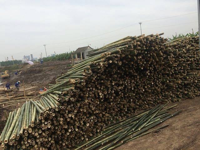 Chuyên Cung Cấp Cọc Tre Đóng Móng-Vật Liệu Công Trình Miền Trung ...