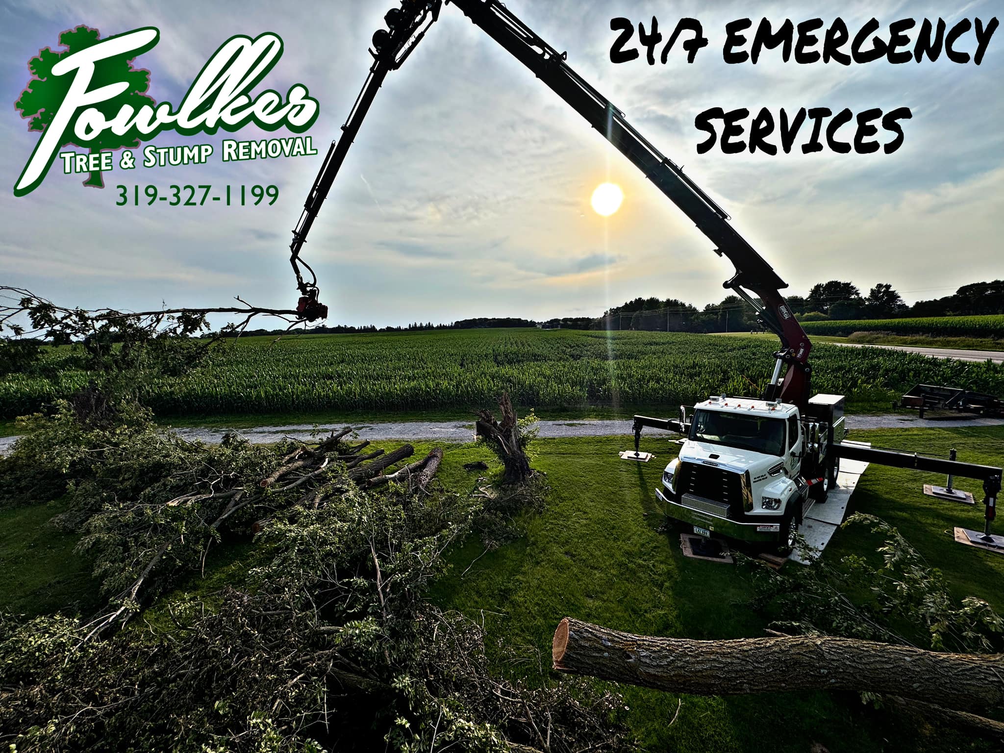 Fowlkes Tree and Stump Removal LLC