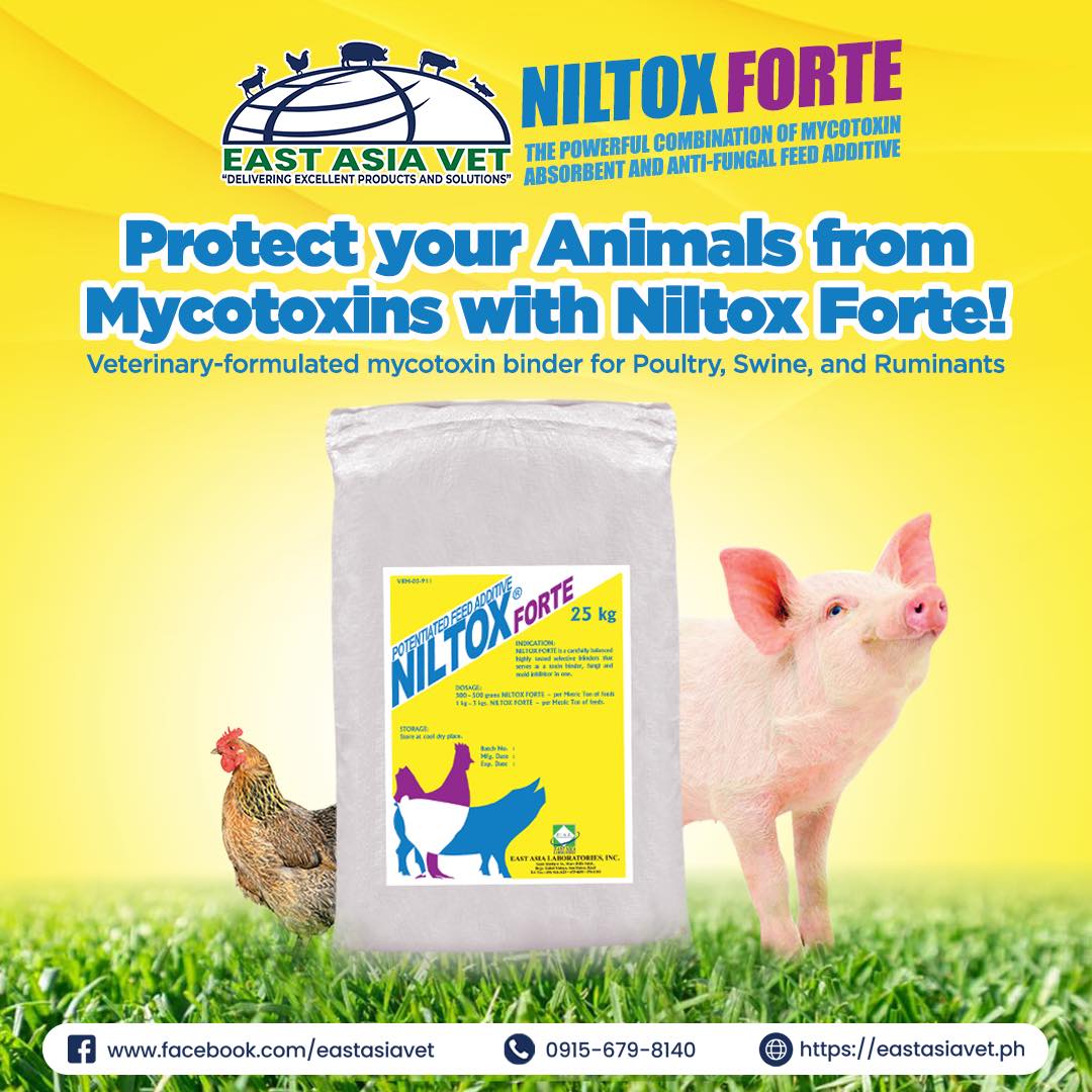 East Asia Vet - Protect your animals from the harmful... | Facebook