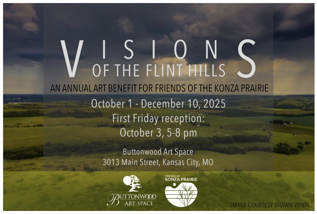 Friends - The Visions of the Flint Hills Annual Art Benefit starts this ...