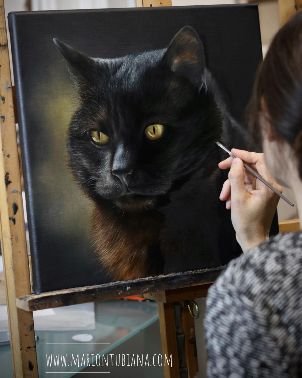 Tubiana Marion - Artiste Equine et Animalière - Pastels, peintures