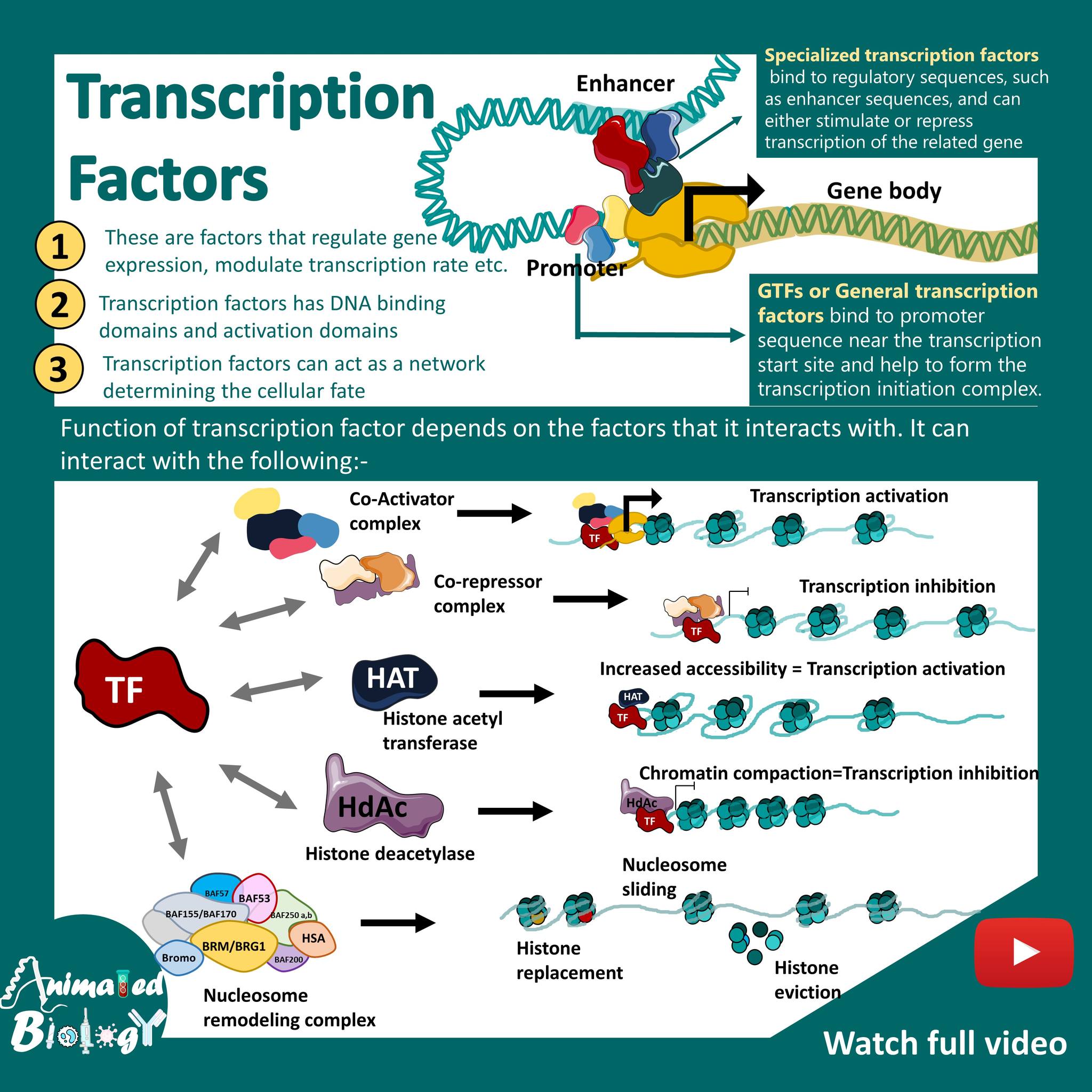 Animated biology with Arpan... - Animated biology with Arpan