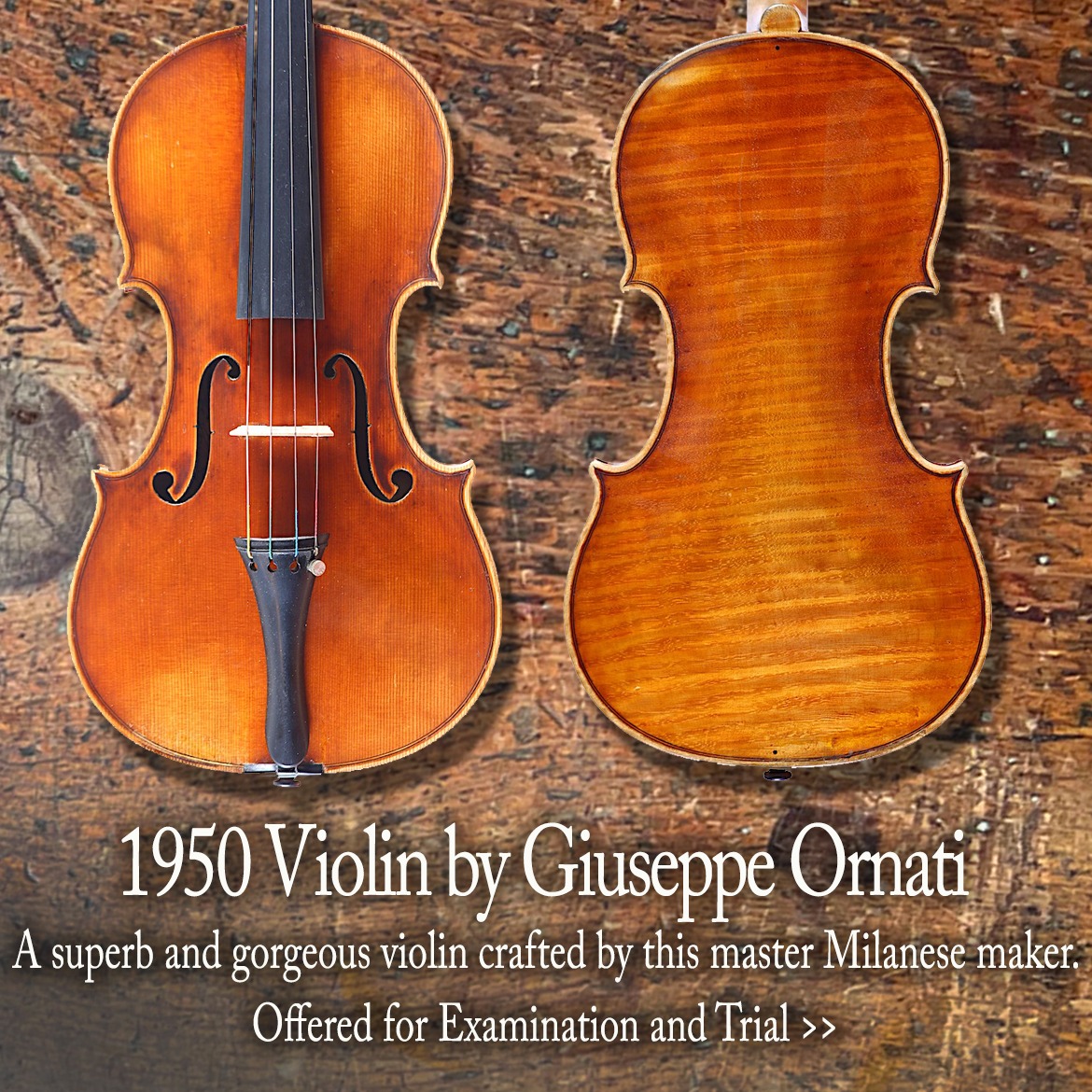 Maker: Alfredus Contino Year: 1920 Origin: Napoli, Italy Condition
