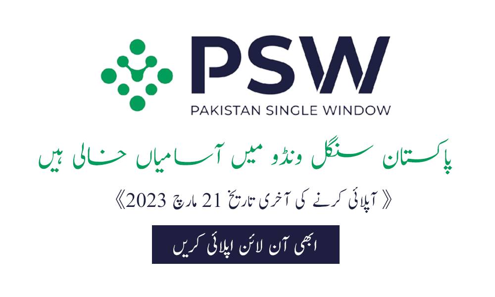 The Pakistani Jobs | Allu Multan