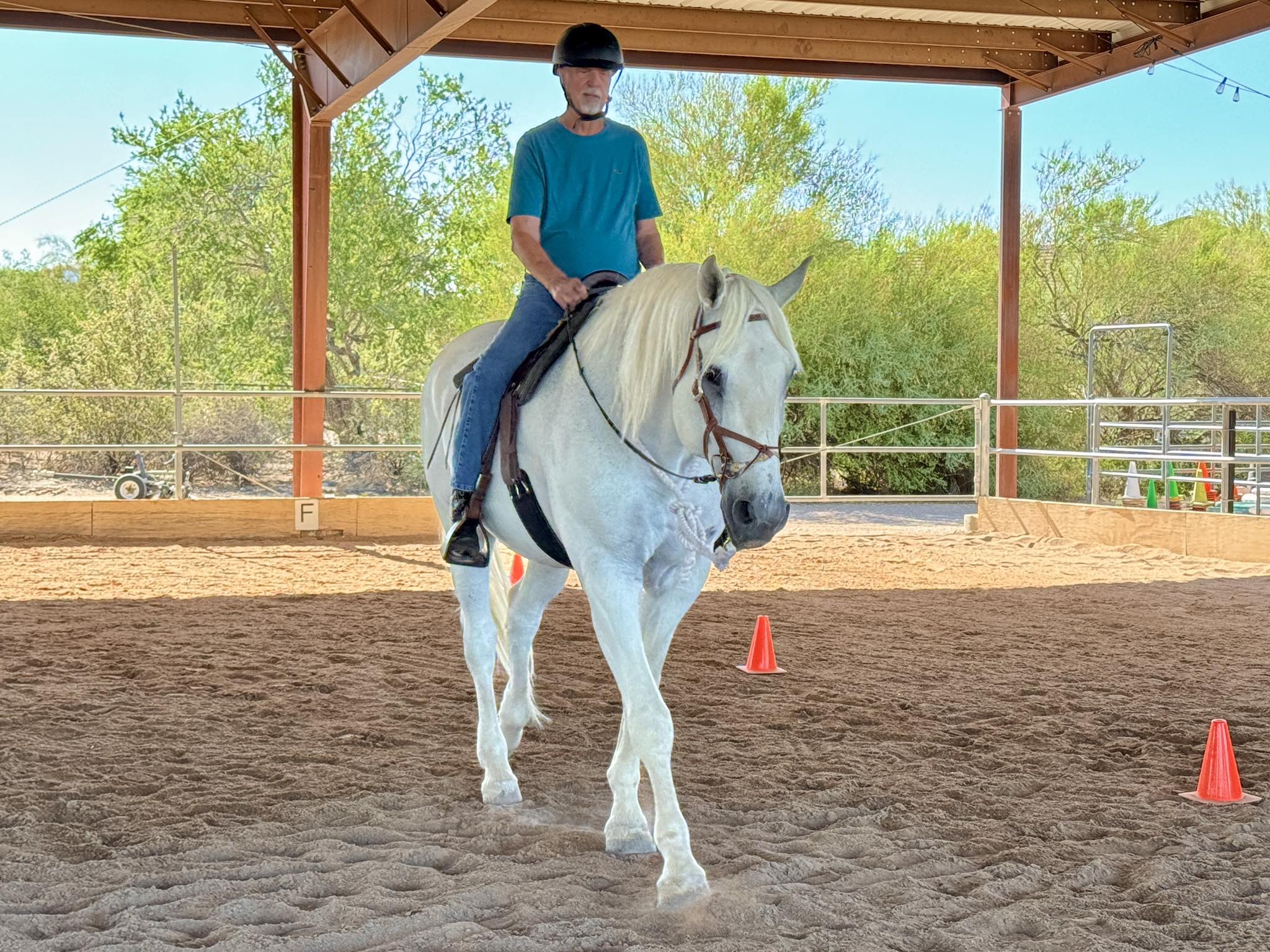 Therapeutic Riding... - Therapeutic Riding Of Tucson (TROT)