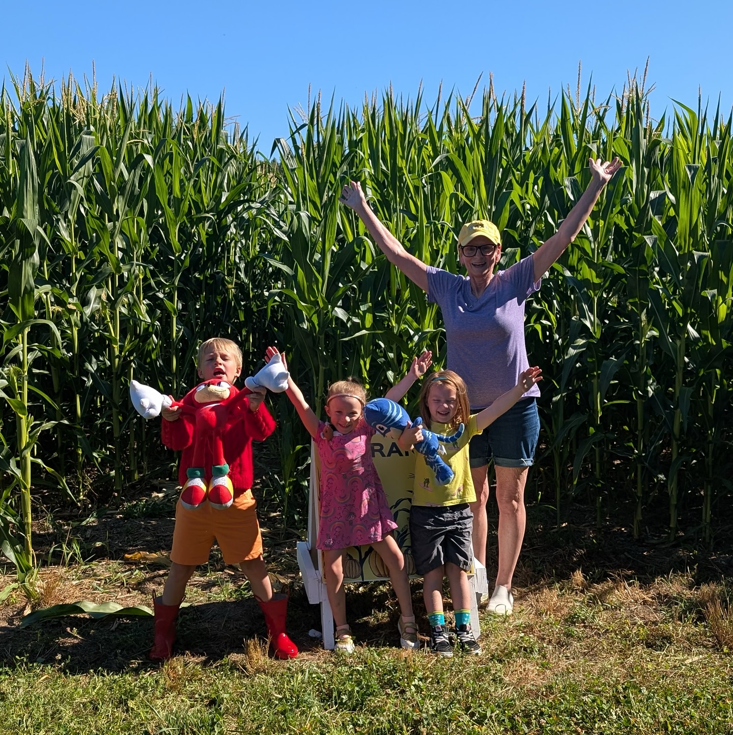 Pineland Farms - The Corn Maze season has begun!... | Facebook