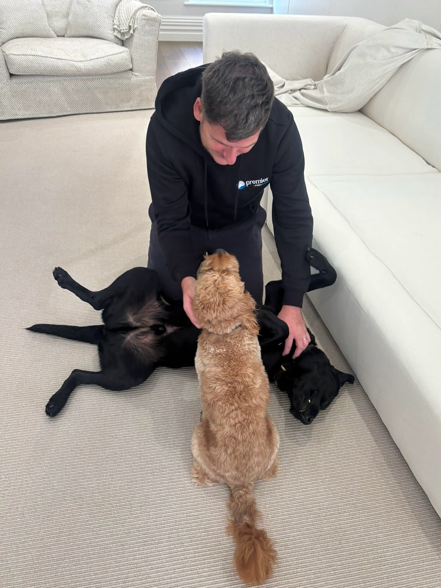 Pets are part of the move too 🐾 ... - Premier Relocation Ltd. | Facebook
