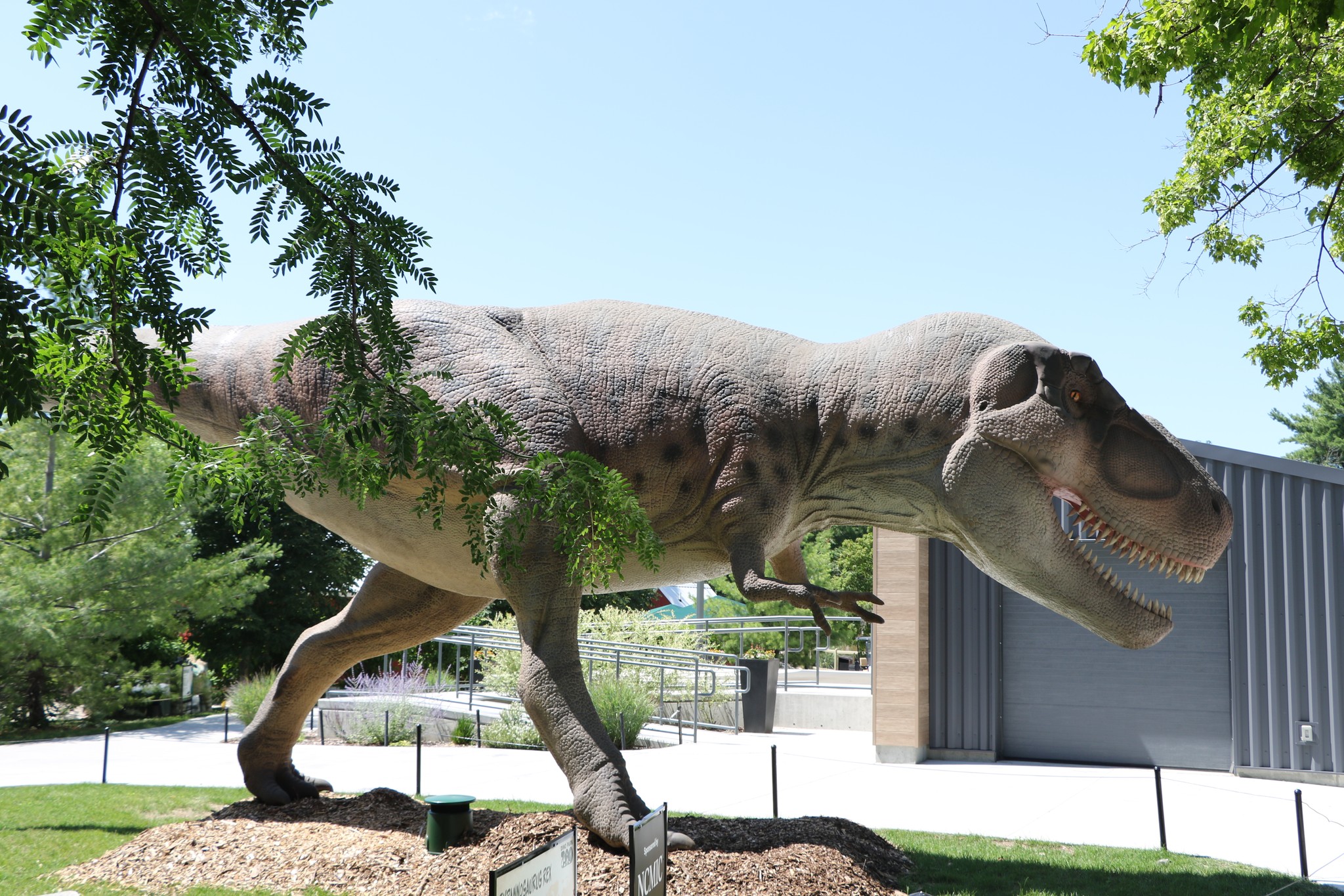 Have you been to DINO PARK ZOO yet?! ?? Now through the end of 