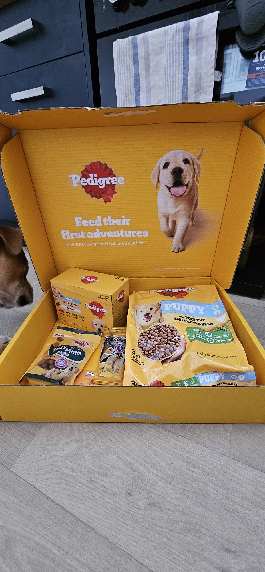 FREEBIES UK + FREE SAMPLES v3 | Patient pup waiting for her Triyit ...