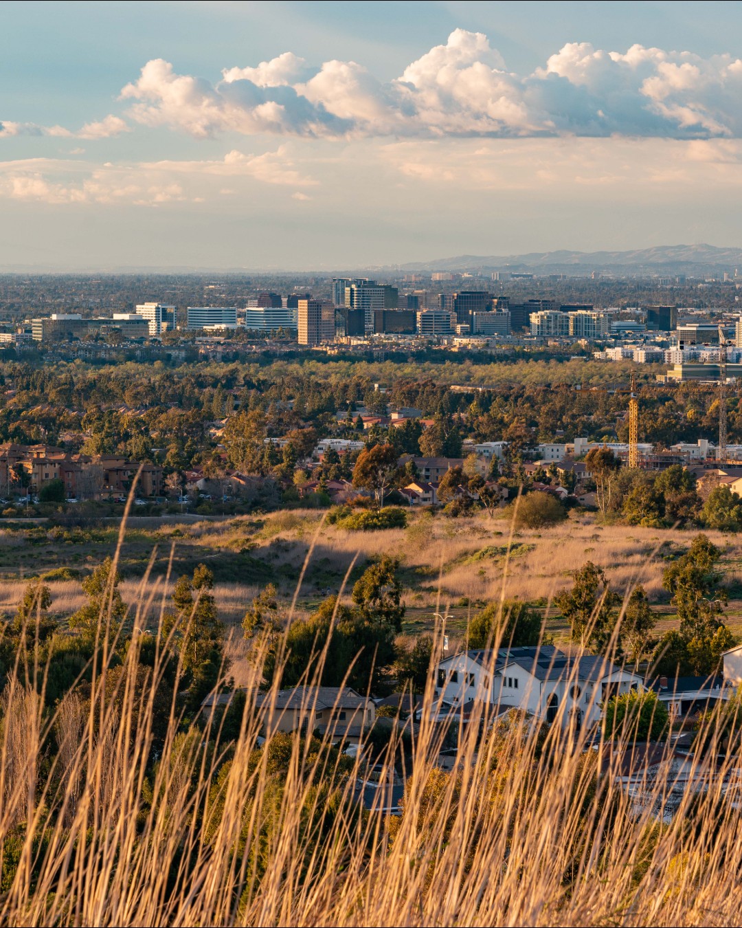 Help us plan for a safer... - City of Irvine City Hall | Facebook