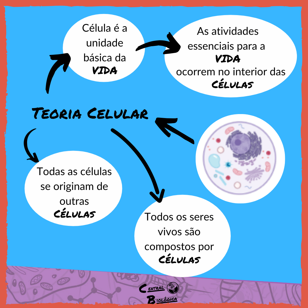 Central Biológica - A Teoria Celular foi postulada por Mathias Scheiden ...