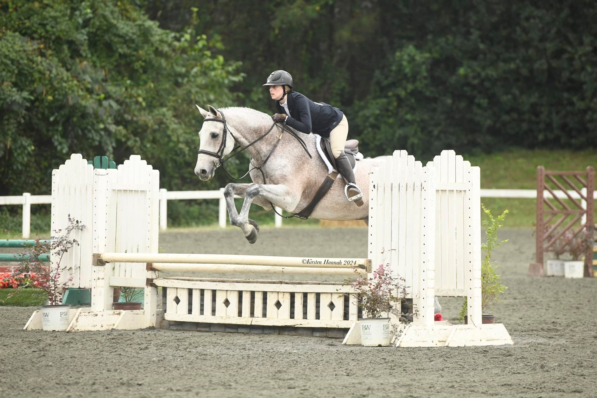 Paramount - 1/2 Lease available on a Child/Adult Hunter at Paramount ...