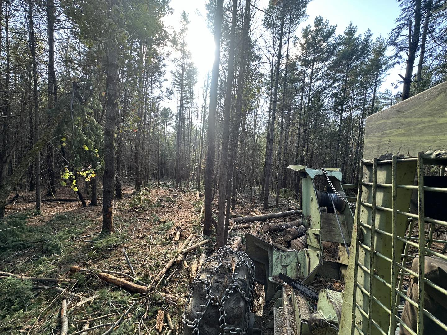 Rice Logging | Wellington ME