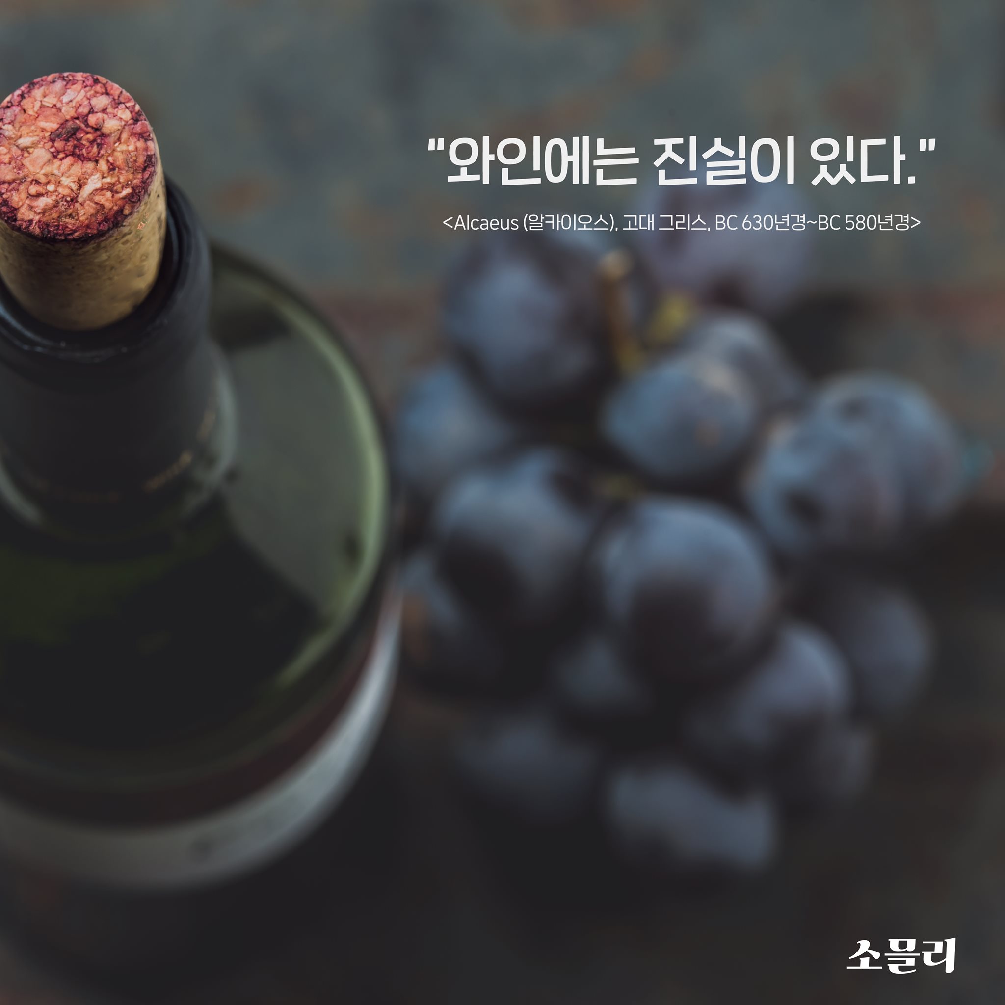 소믈리 - 와인을 일상속으로 - '와인에는 진실이 있다' - 알카이오스(Alcaeus) 오늘날 진실을...
