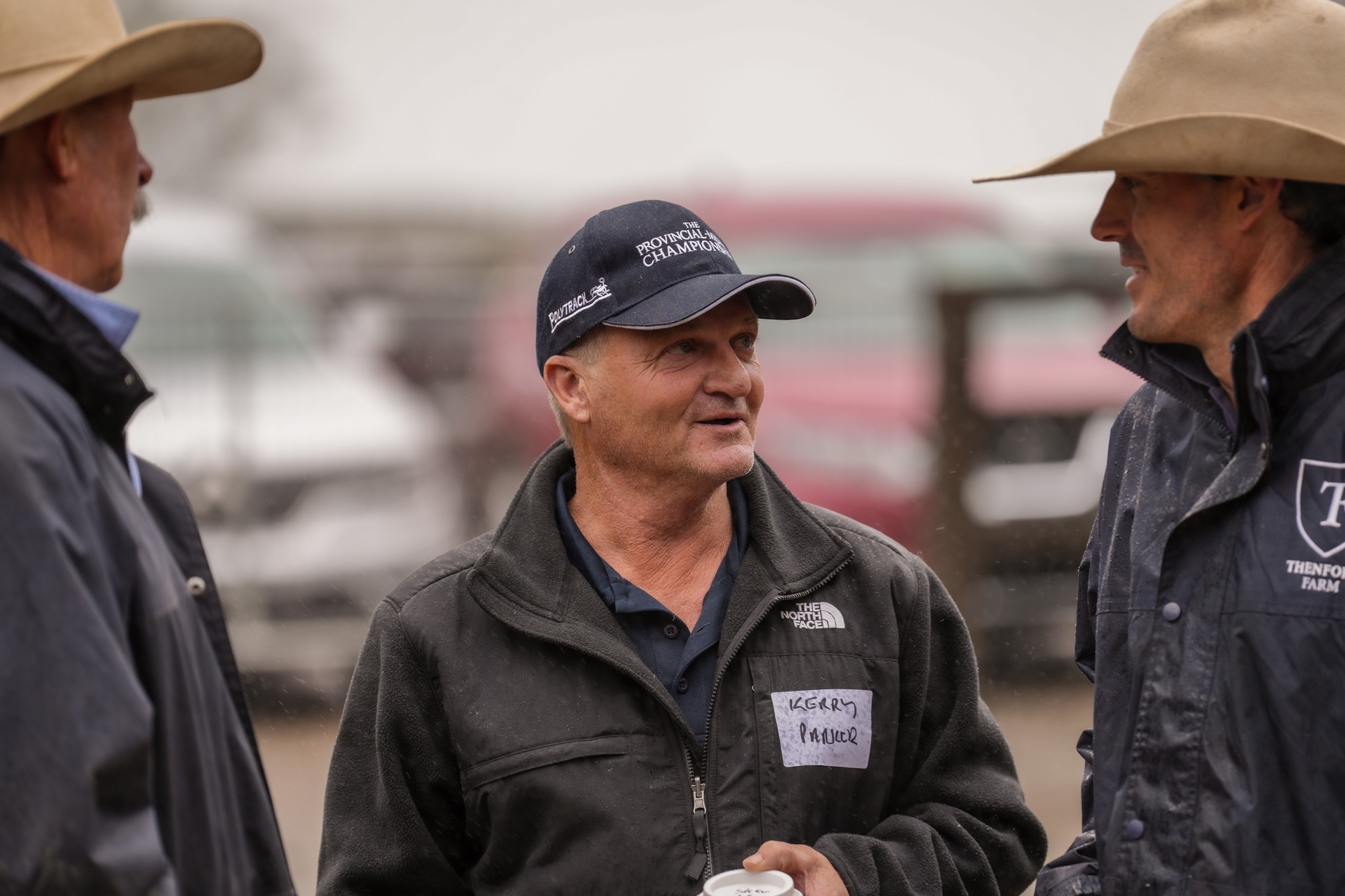Proven Thoroughbreds | Sydney NSW