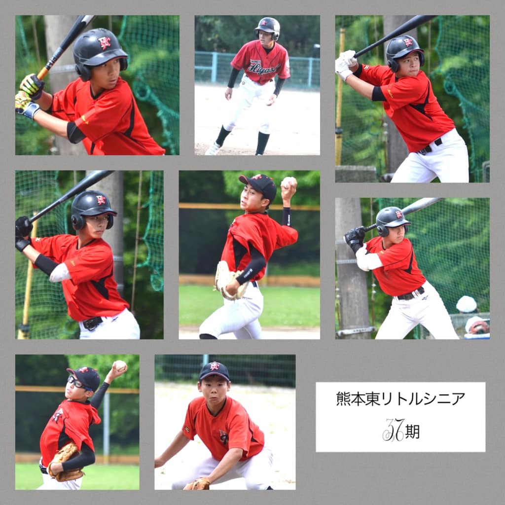熊本 東 リトル シニア