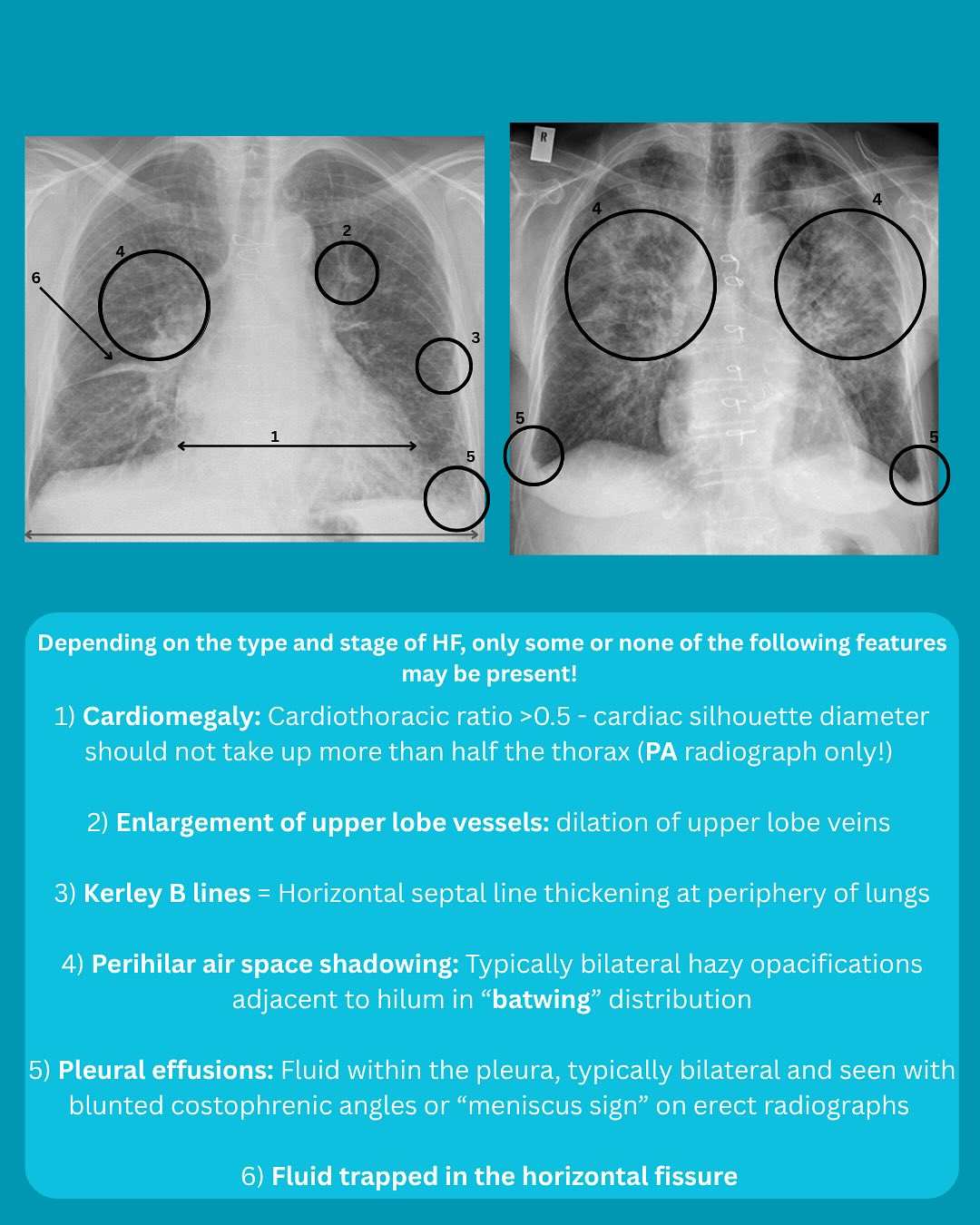 St George’s Radiology Society | London