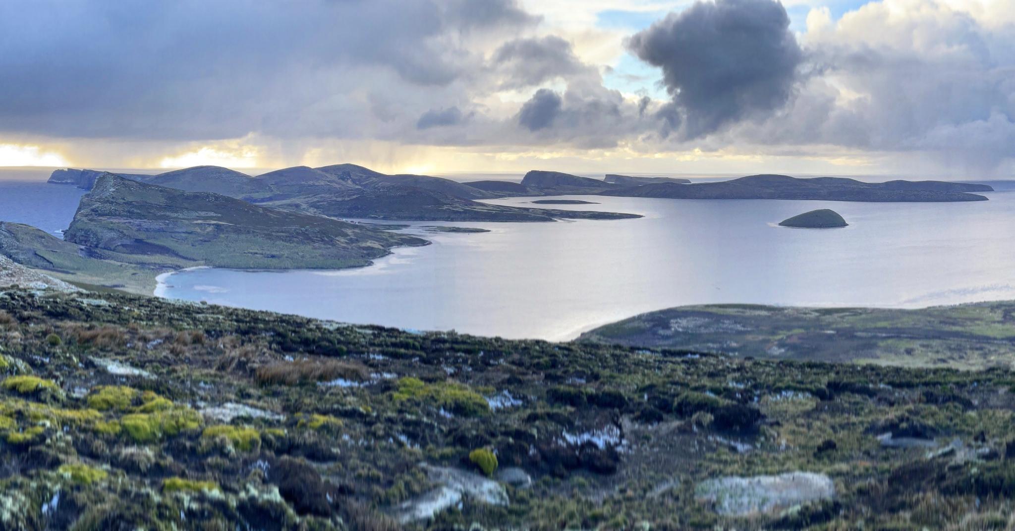 Falklands - We’re delighted to announce that the New Island Restoration ...