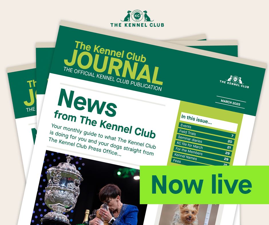 Dog Health & Breeder News | Royal Kennel Club | **March 2025 Kennel ...