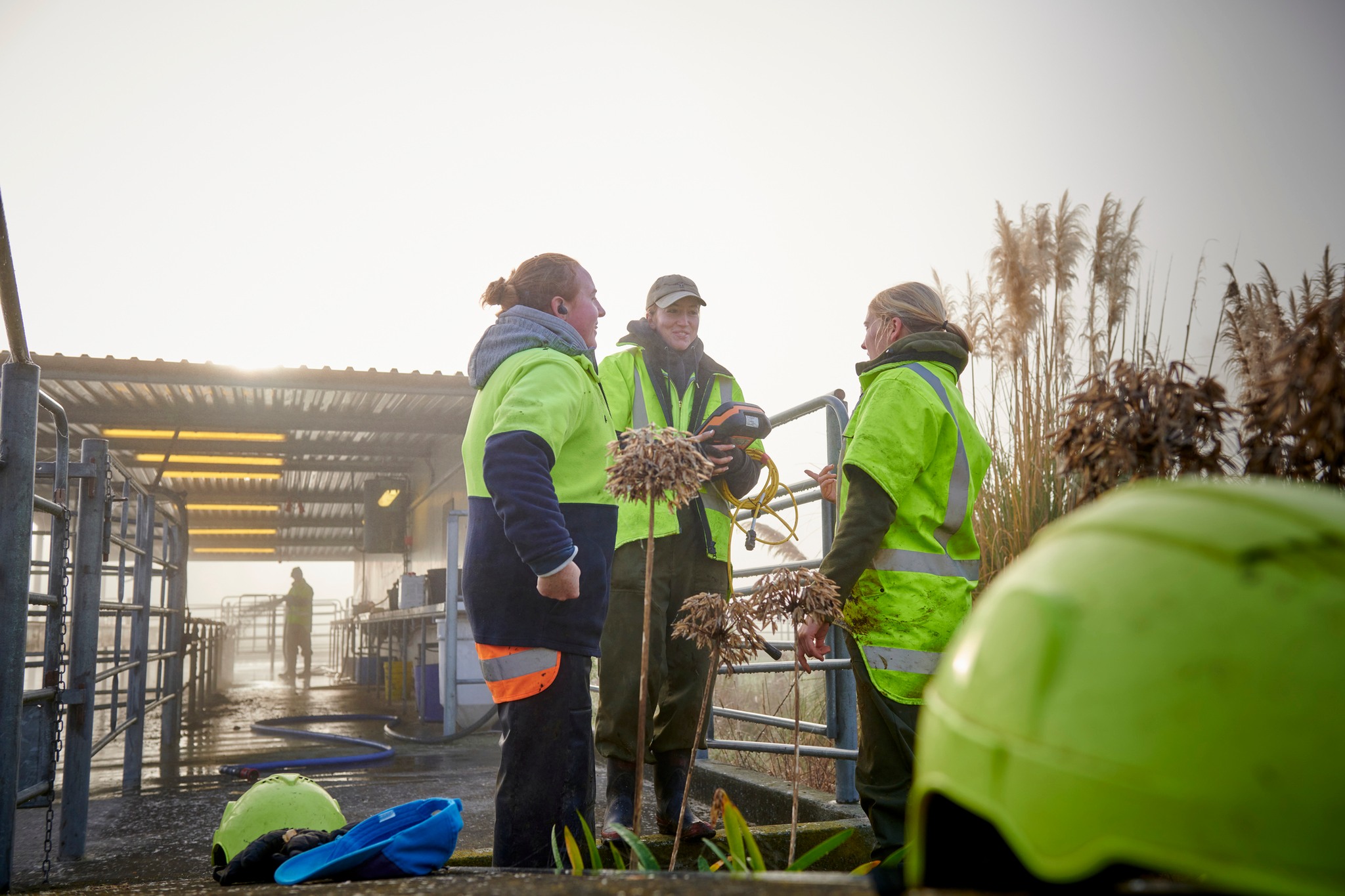 DairyNZ - Today is Farm Worker Appreciation Day, a moment to recognise ...