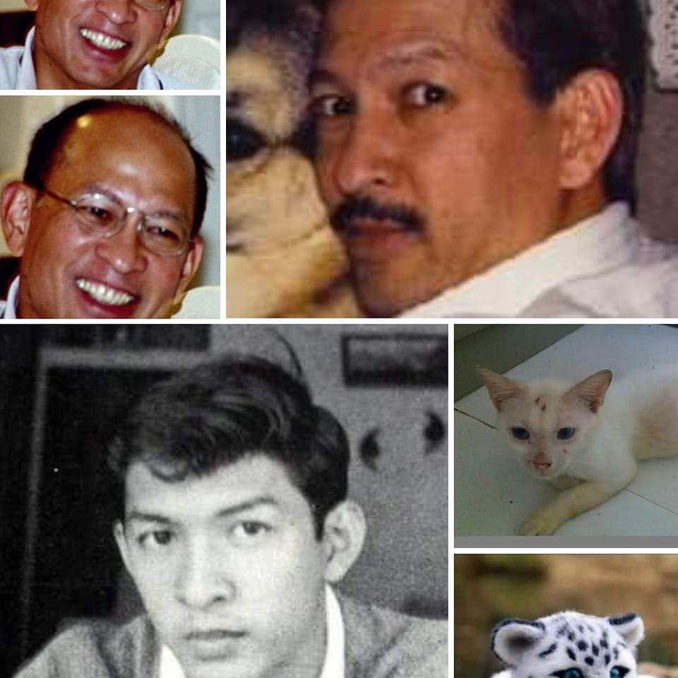 Manny Manapat
