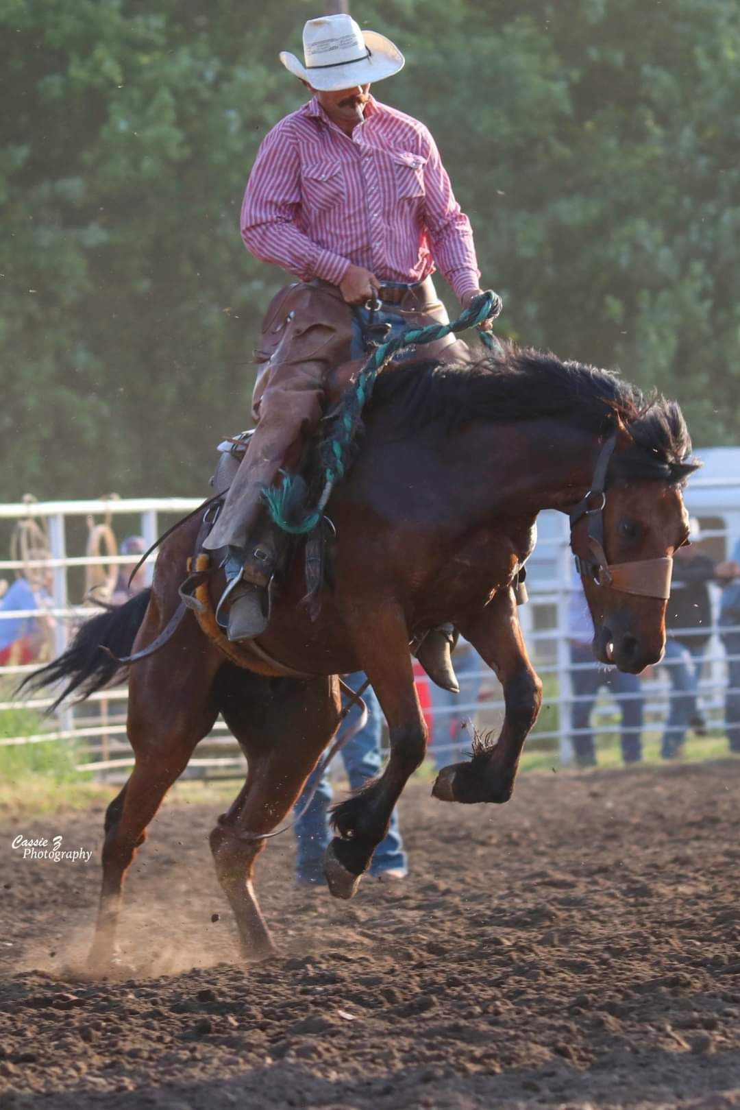 Hoot Gibson Memorial Rodeo | Tekamah NE