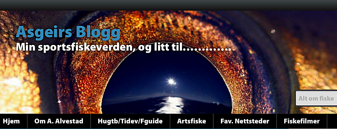 per-ivars-fiskefluer-added-a-new-photo-per-ivars-fiskefluer