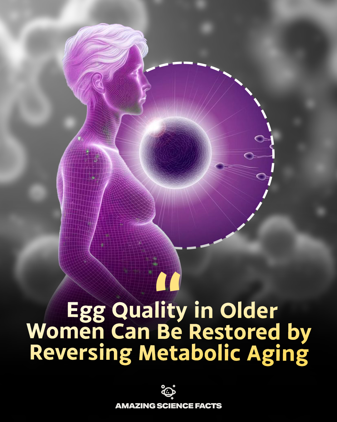 grace ziem glutathione Fertility decline might be fixable. Research shows falling NAD+ energy levels cause egg quality to drop after 35. Restore those levels, and the eggs bounce back. Reproductive aging isn't a cliff. It's Is GHK-Cu Serum Worth offer_10 Quantity:5 L