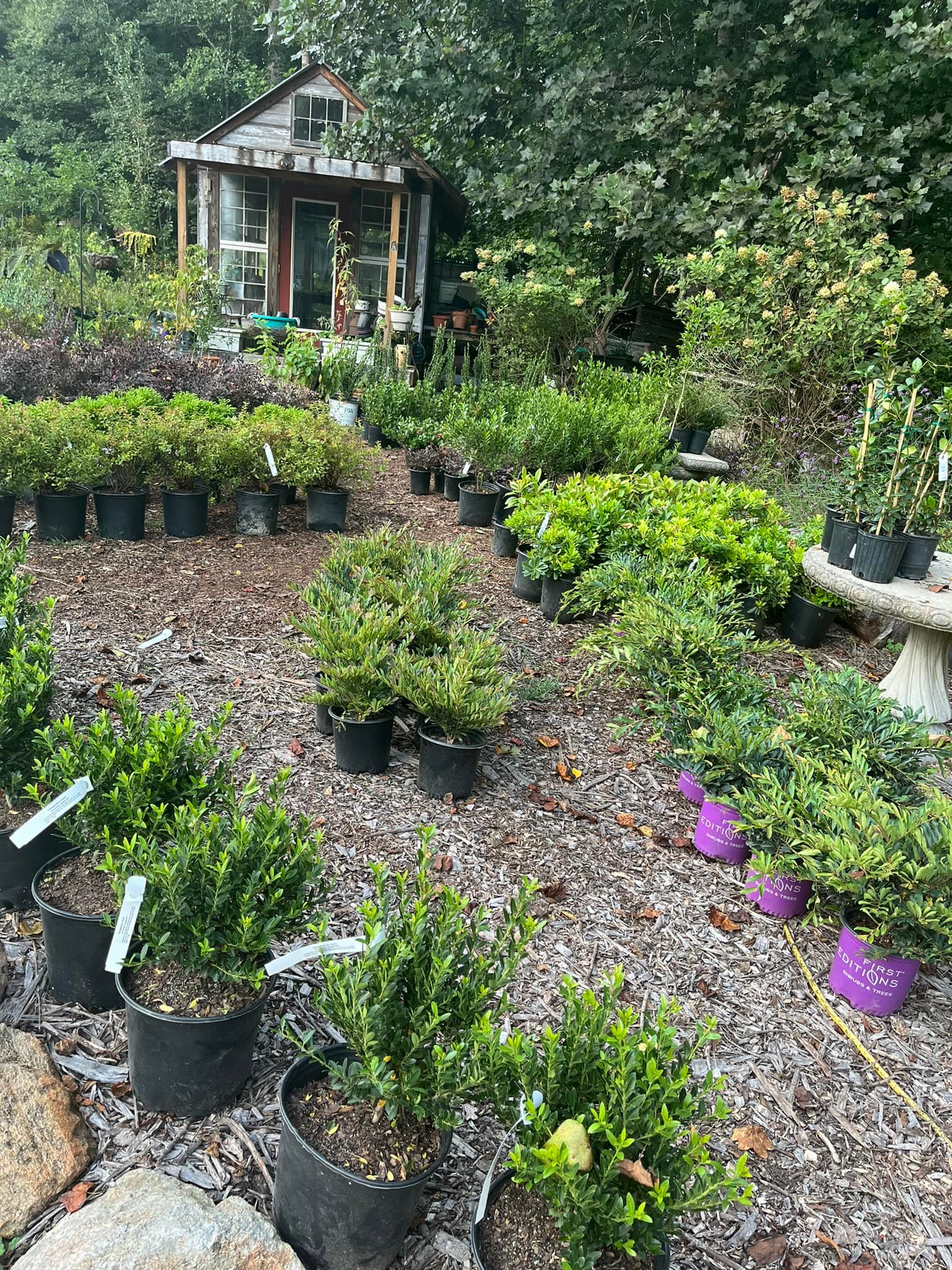Springwater Sprouts Propagation and Plant Nursery
