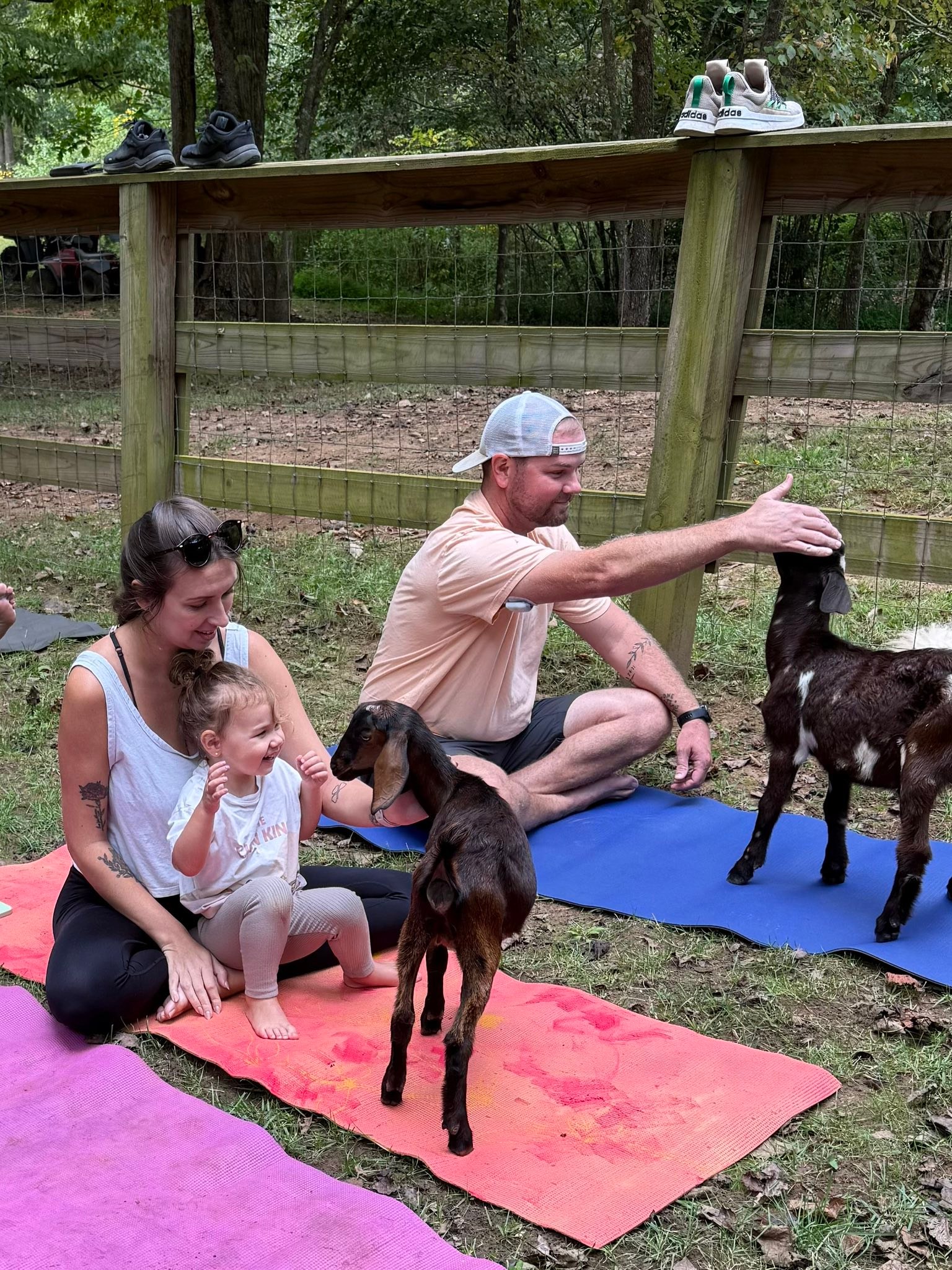 Rhatigan Family Farms added a new... - Rhatigan Family Farms