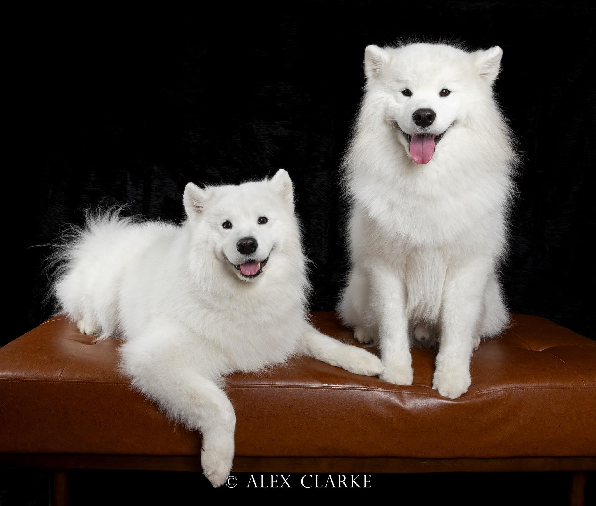 Alex Clarke Photography