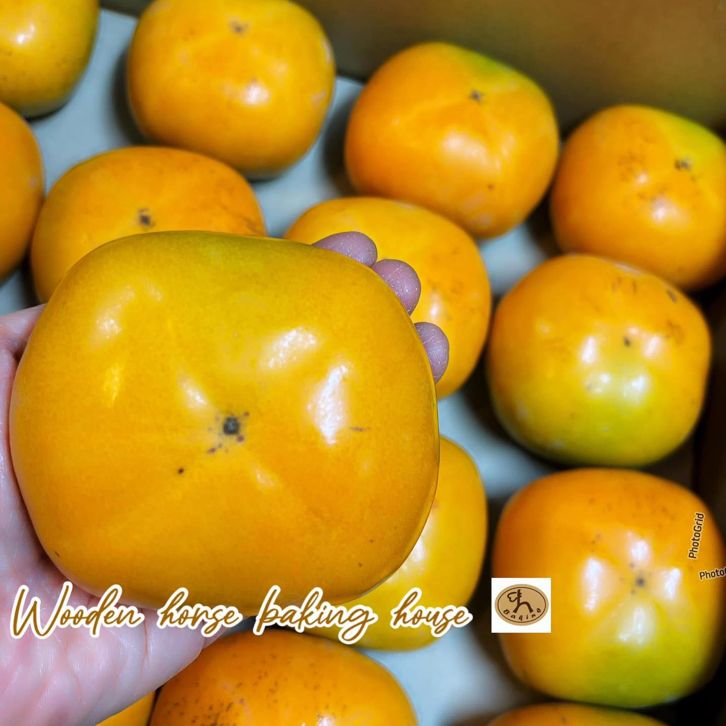 Wooden - 🌟中秋又一推介🌟 日本和歌山富有柿-秀級 💕又係我的最愛之一😬，中秋節到可以同屋企開 ️分享 富有柿不但意頭好，而且果肉又甜 ...