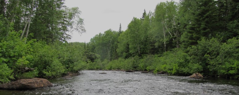 Municipalité - 💧 INFORMATIONS BANDES RIVERAINES 💧 Saviez-vous que vous ...