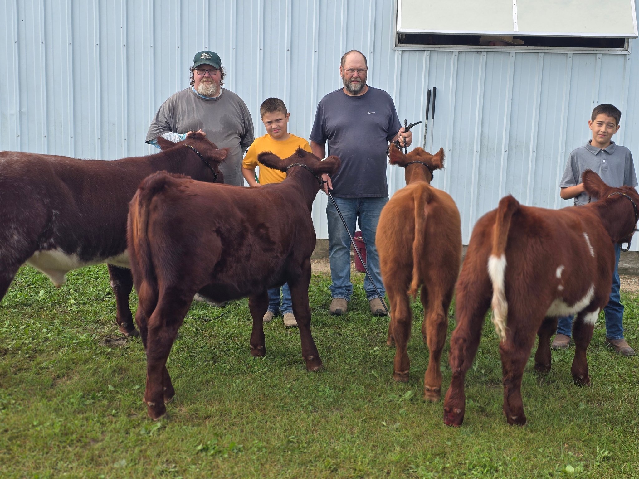 Long Family Shorthorns | Vinton IA