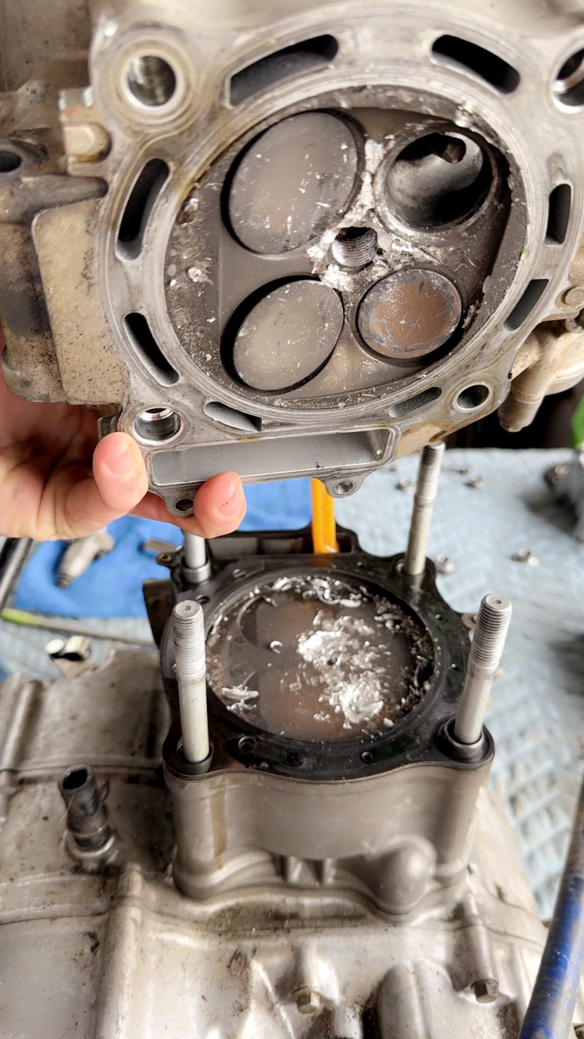 06+ TRX450R TRX 450R 450ER 1mil +1mm Kibblewhite Valves Springs Head