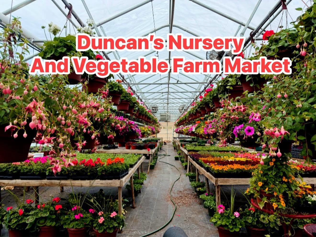 Creque's... - Creque's Greenhouse and Produce Stand