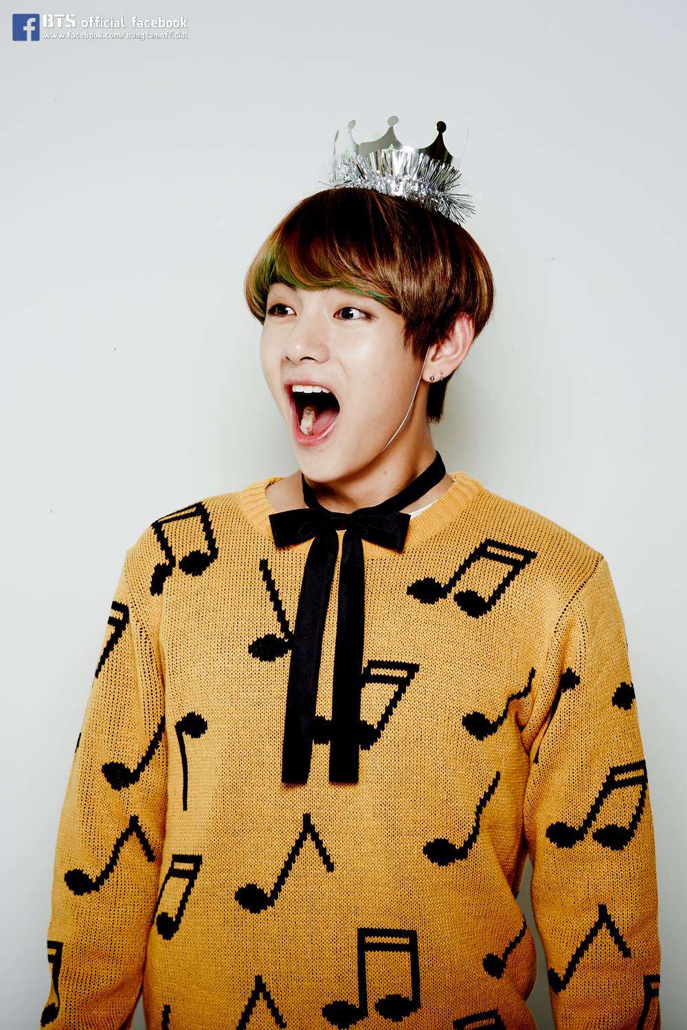 BTS - 21st Happy 'V'irthday 2015 | Facebook
