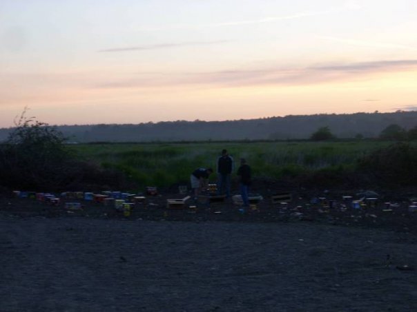 Northwest Pyro Wholesale Fireworks | Ferndale WA