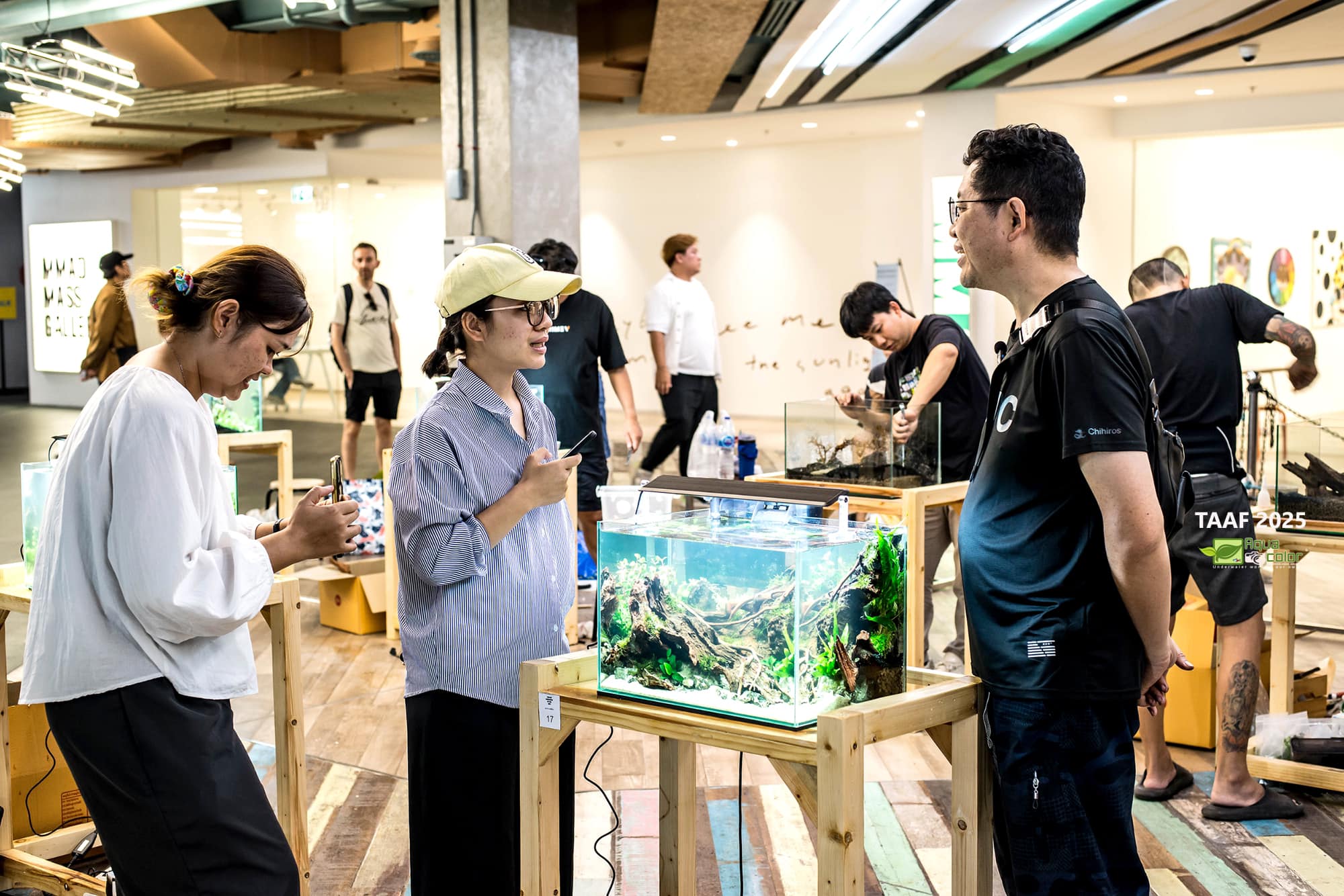 Aqua_color - ภาพบรรยายกาศ การจัดกล่องสุ่ม งาน TAAF 2025... | Facebook