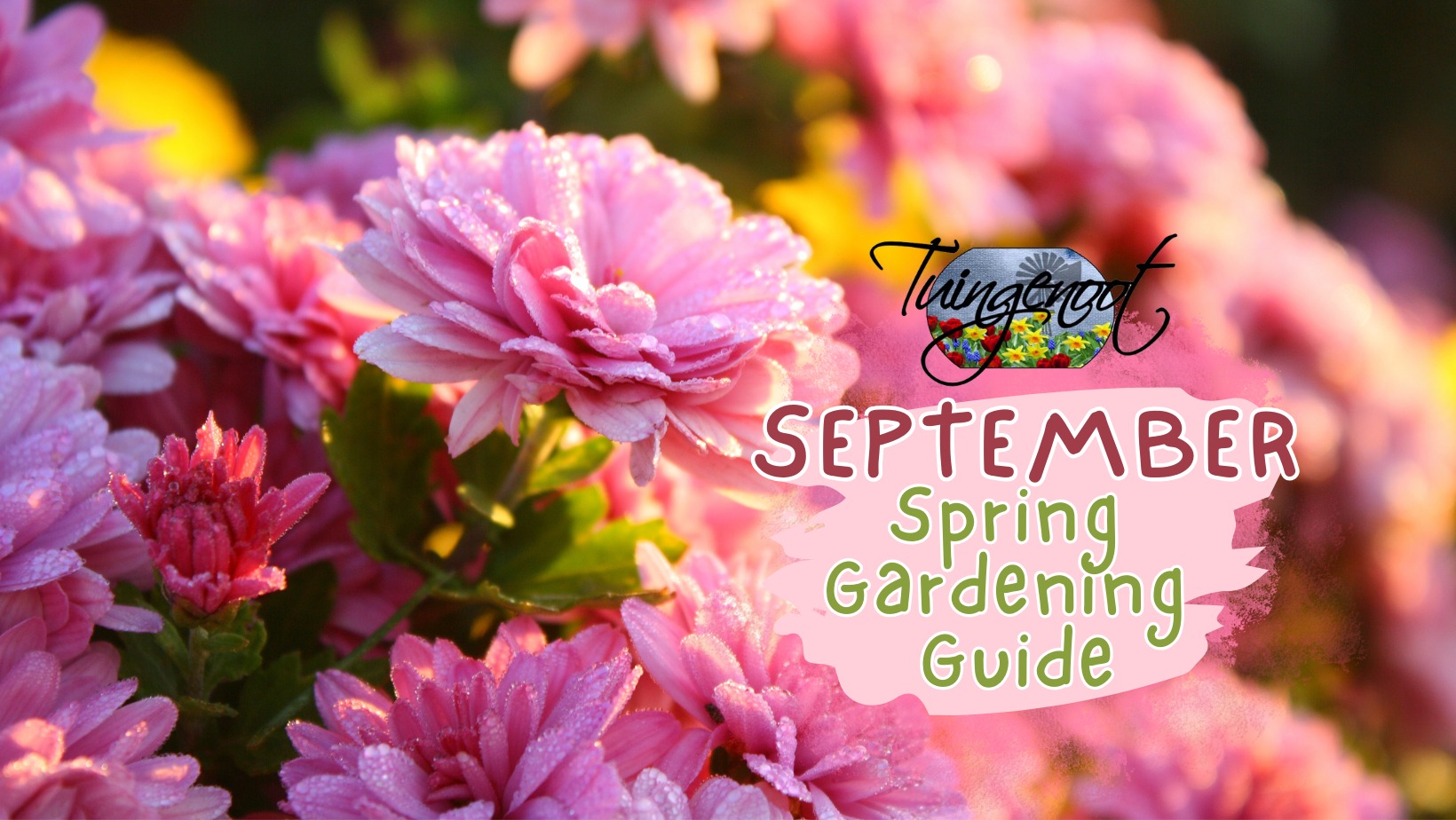 Tuingenoot - 🌸🌼💦🪴 September Gardening Guide 😃 Spring is... | Facebook