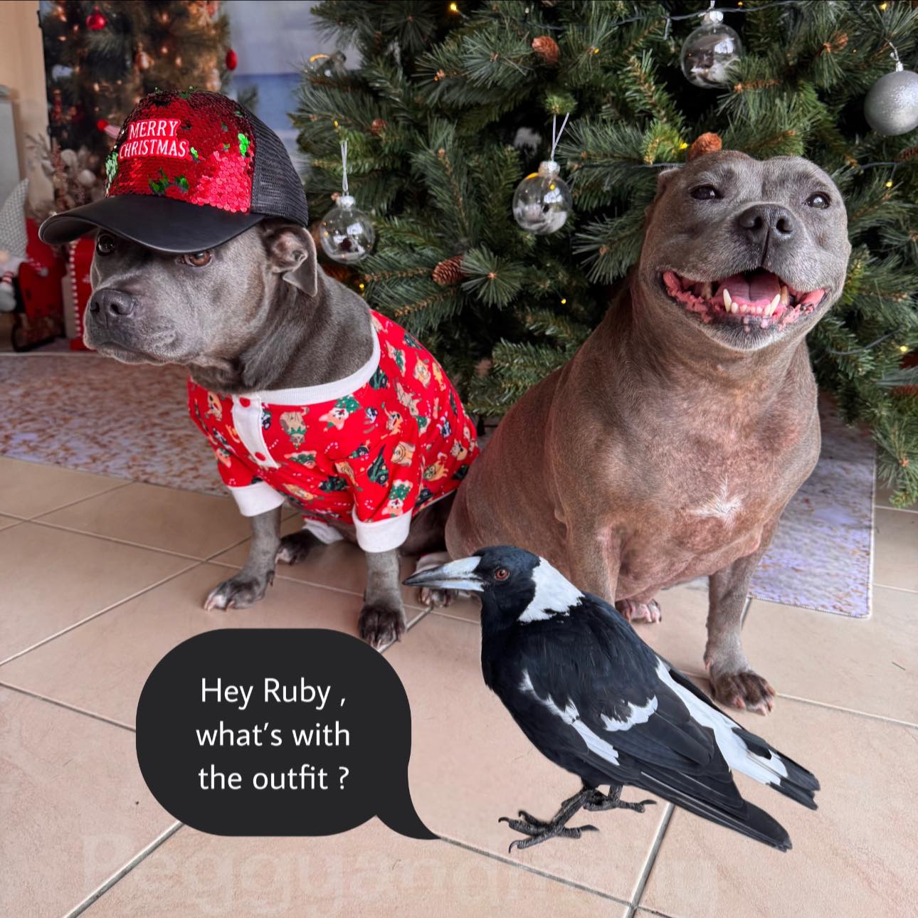 Peggy - Ruby: Behold my new, unique, iconic Christmas look. What do you ...