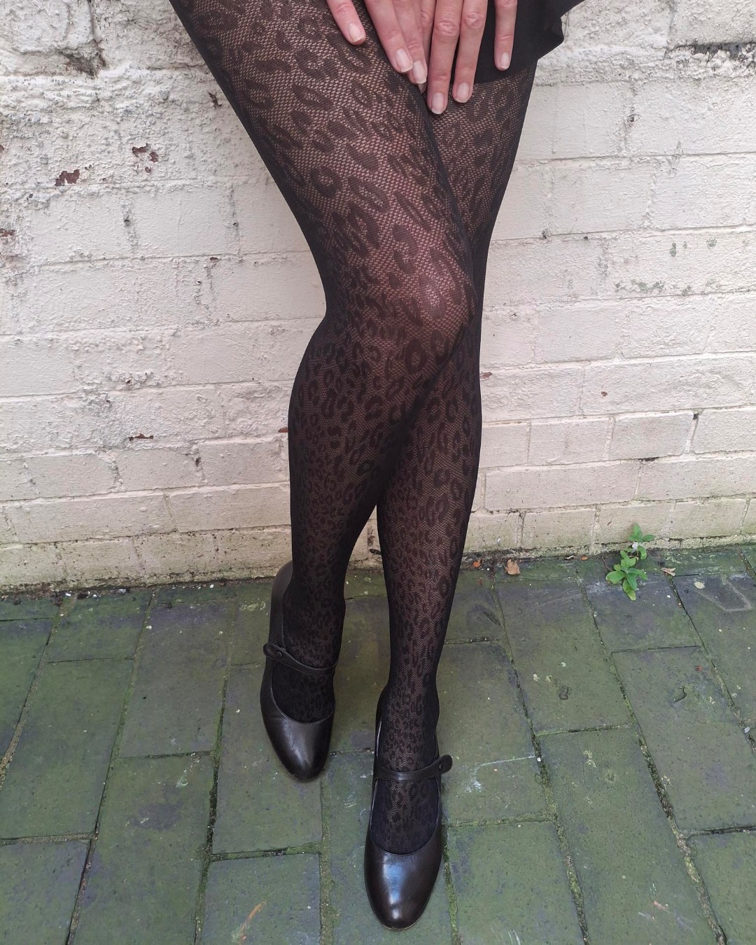Pretty Polly
